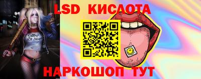 кокаин перу Кингисепп
