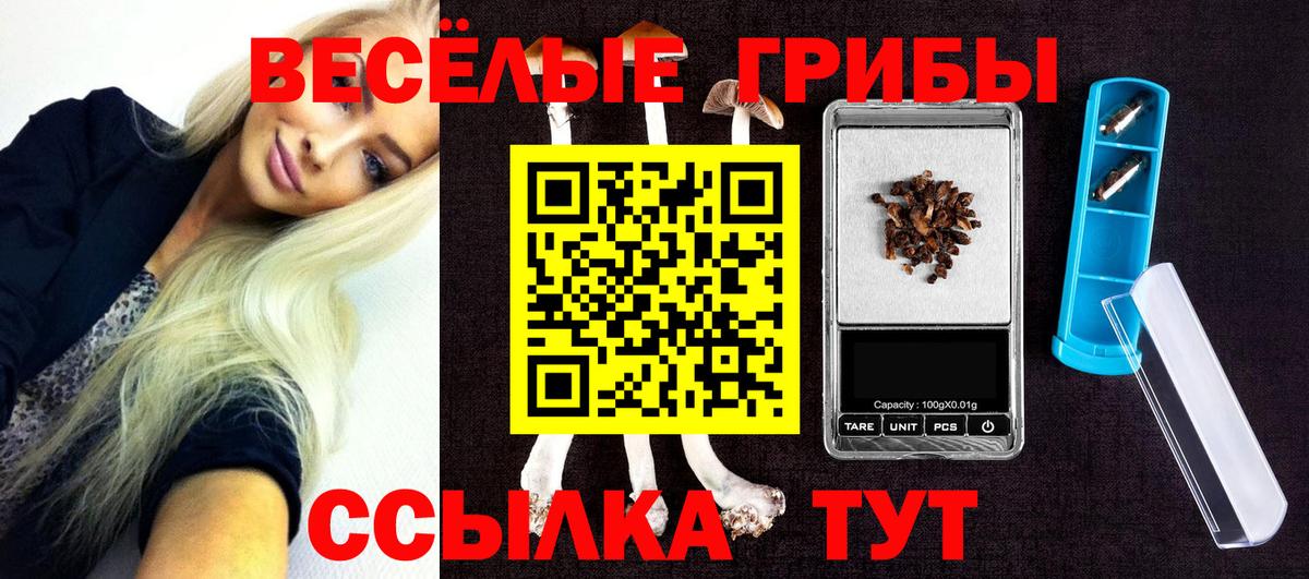Карталы  Галлюциногенные грибы Magic Shrooms  Вход с VPN  купить наркоту  Псилоцибиновые грибы MAGIC MUSHROOMS 