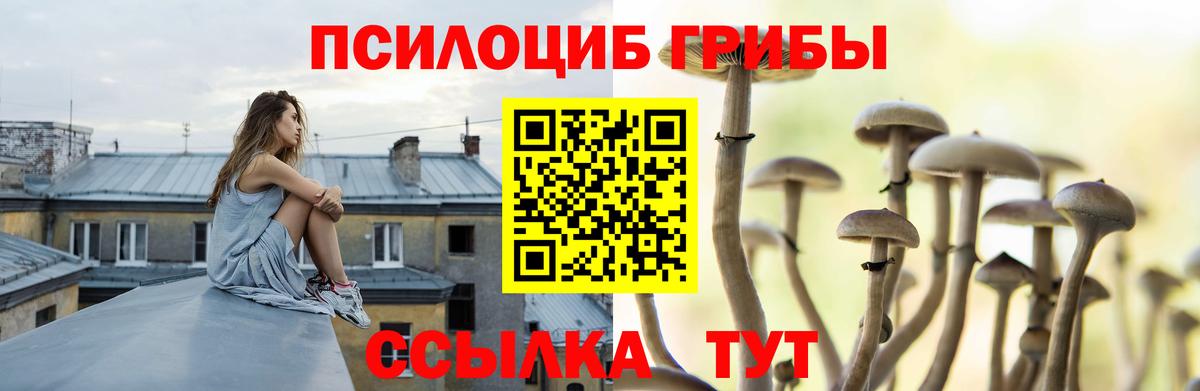 Галлюциногенные грибы Cubensis Карталы
